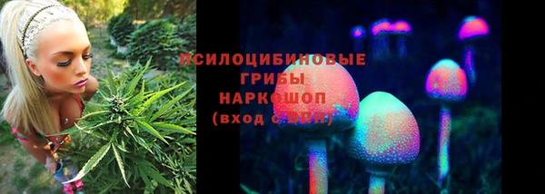 МДПВ Алексин